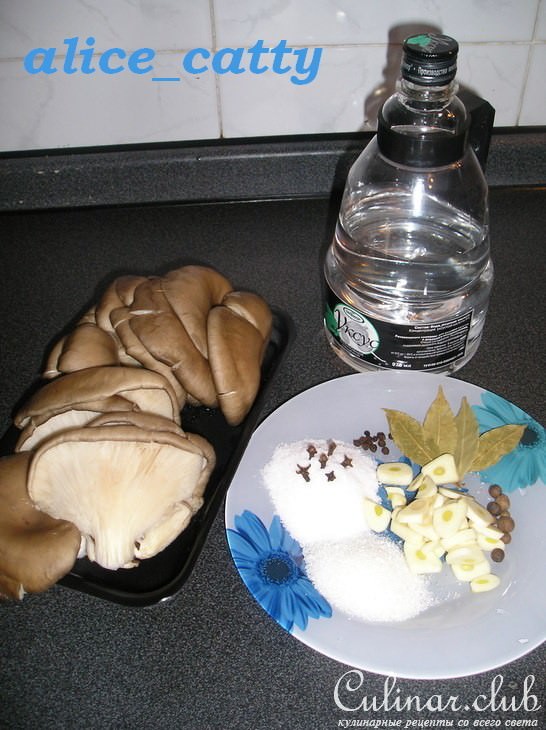 ВЕШЕНКА МАРИНОВАННАЯ