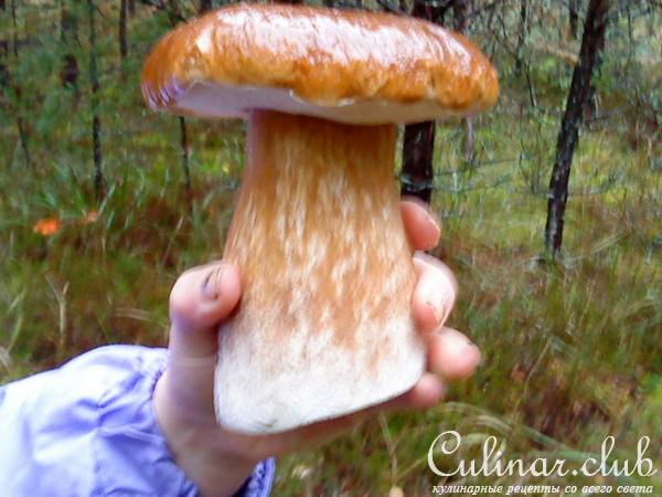 Грибы маринованные