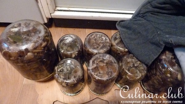 МАРИНОВАННЫЕ ОПЯТА ( в особо крупных масштабах)