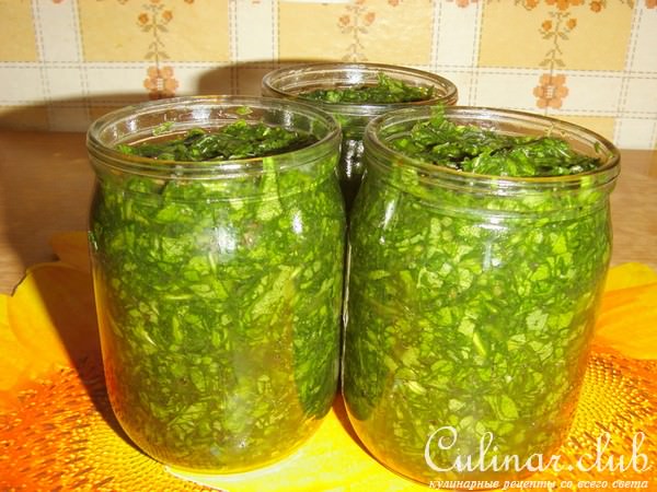 Щавель-заготовка на зиму