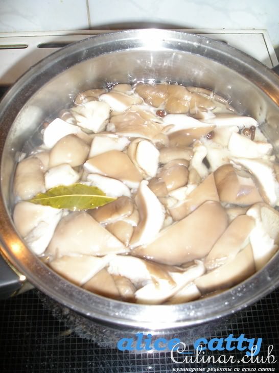 ВЕШЕНКА МАРИНОВАННАЯ