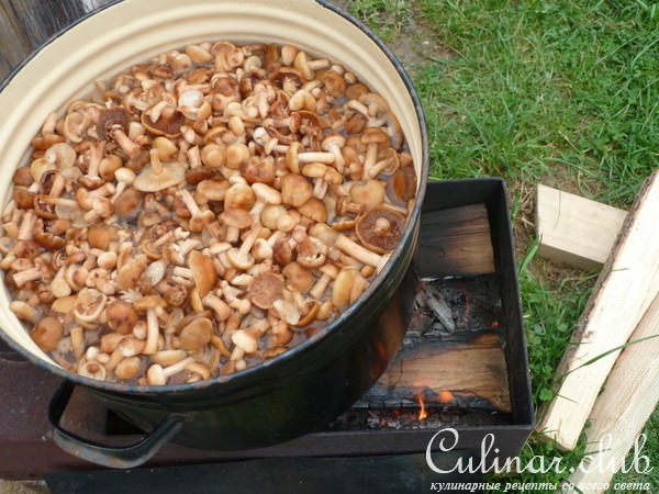 МАРИНОВАННЫЕ ОПЯТА ( в особо крупных масштабах)