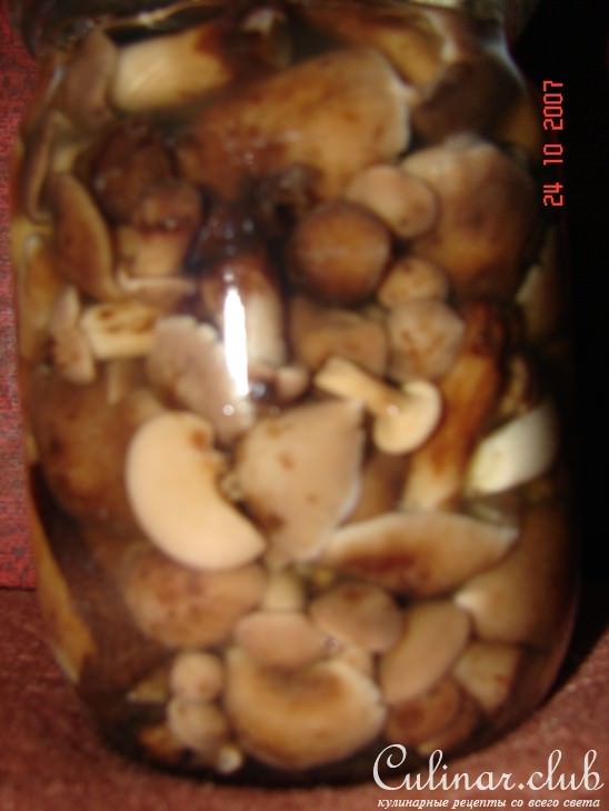 МАРИНОВАННЫЕ ОПЯТА.